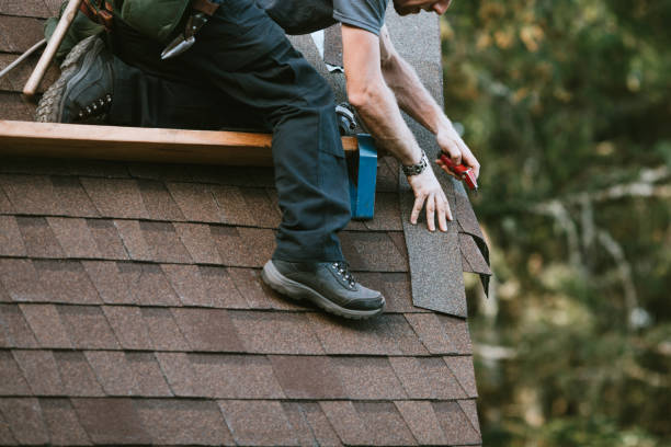 Best Roof Gutter Cleaning  in Shpee Neck, MA