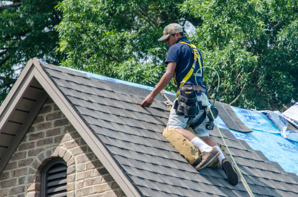 Best Roof Gutter Cleaning  in Shpee Neck, MA